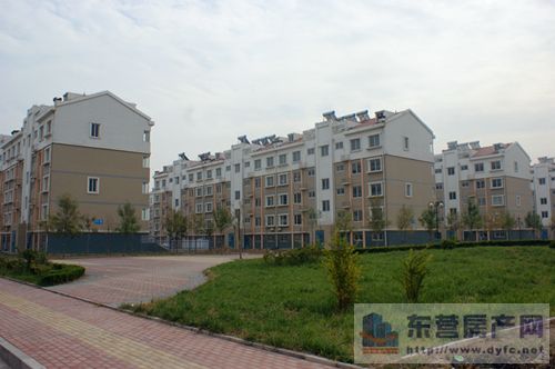 出租科教小區東西四路沿街商鋪出租340平米20000元/年商鋪