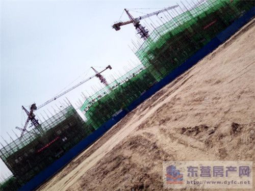 金辰·怡和水岸工程進度