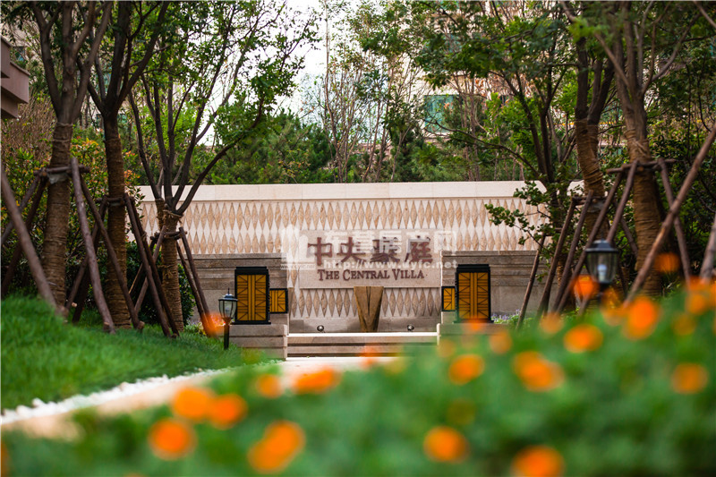 中央豪庭·柿園項目現場