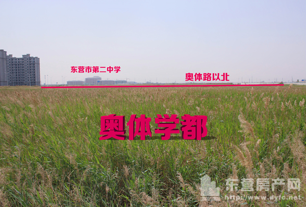 奧體學都項目現場