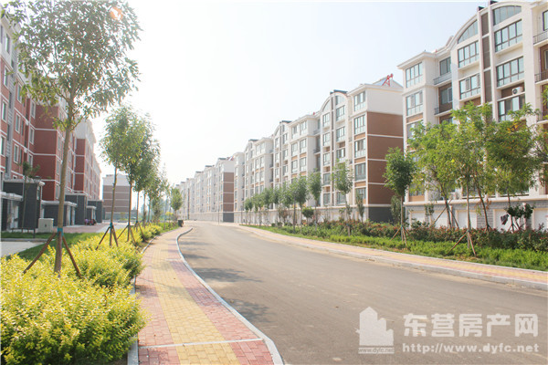 黃河口度假小鎮項目現場