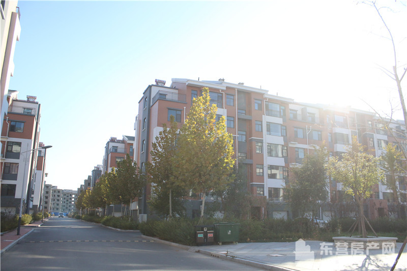 眾成·鑫島佳苑實景圖