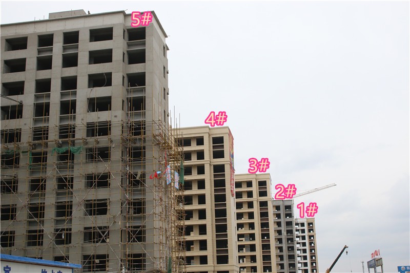 三期1#2#3#4#15#樓內墻漆體已完成，外墻抹灰完成
