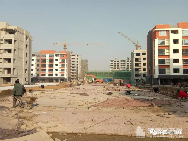 河口美園花滿庭工程進度