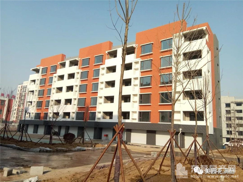 河口美園花滿庭工程進度