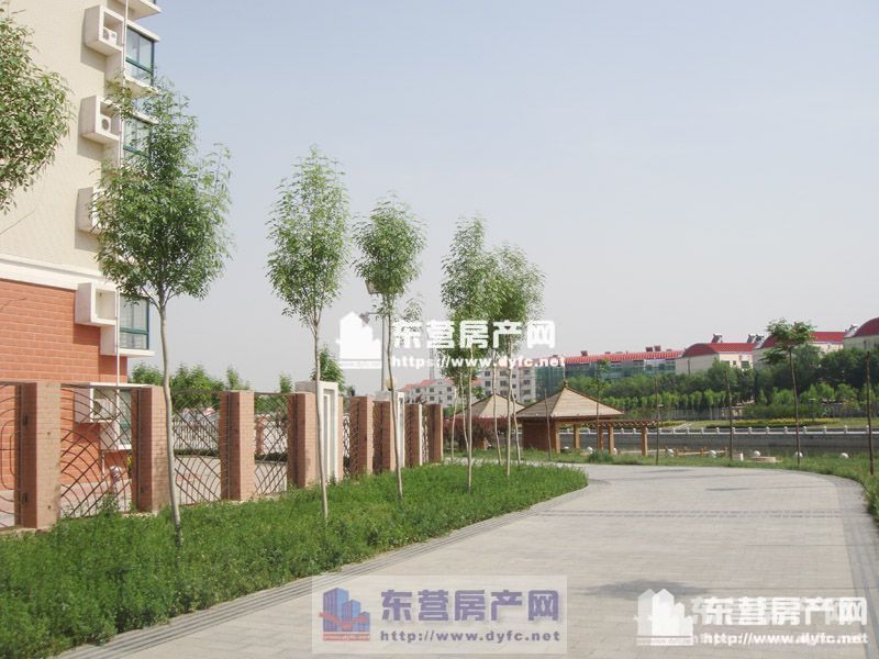 西城海盟文匯花園 學區房出租 1299元/月