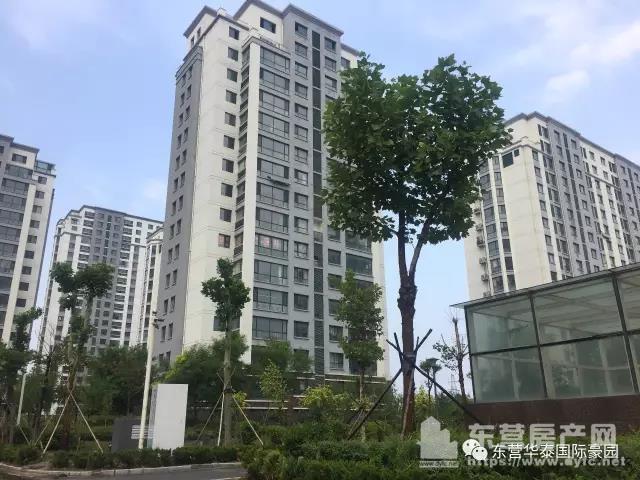 华泰国际豪园效果图_东营房产网