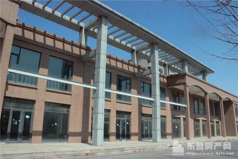 勝利花苑商街實景圖