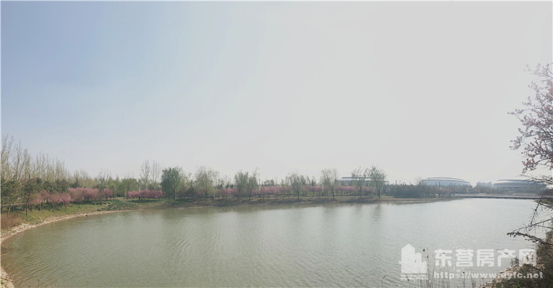 奧體學都配套圖