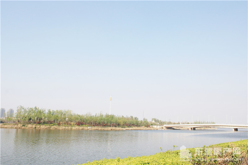 奧體學都項目現場