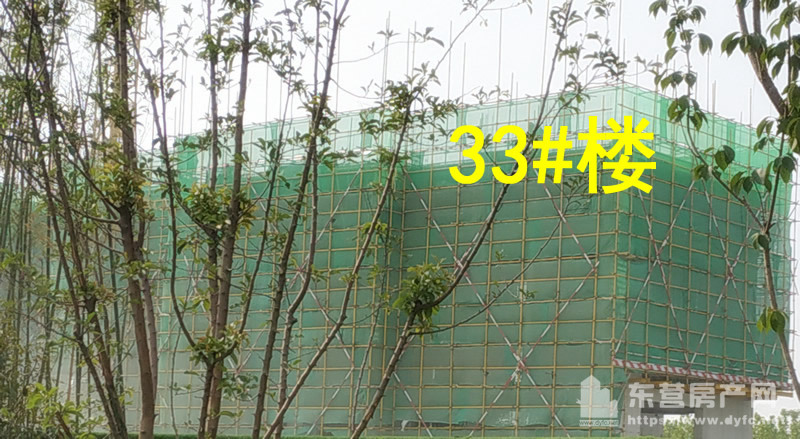 33#樓6月份工程進度