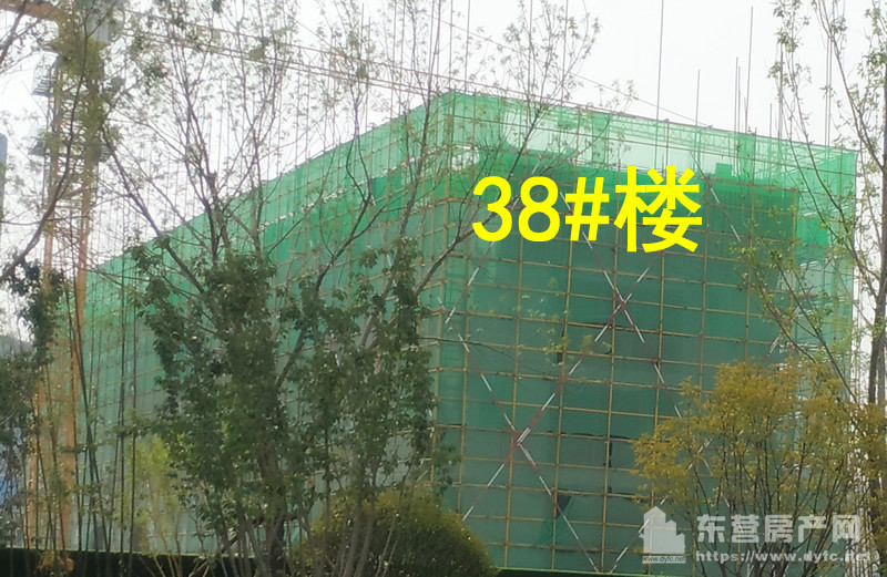 38#樓6月份工程進度