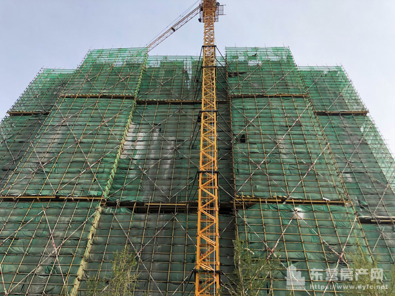 【清風熙悅】7月份工程進度實景圖