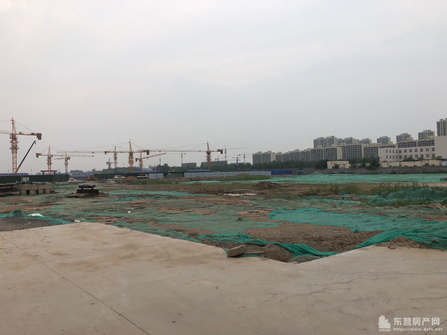 【悅辰國際】7月份工程進度