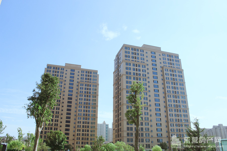 黃河三角洲國際廣場實景圖