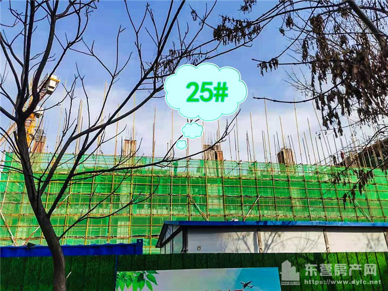 11月份工程進度