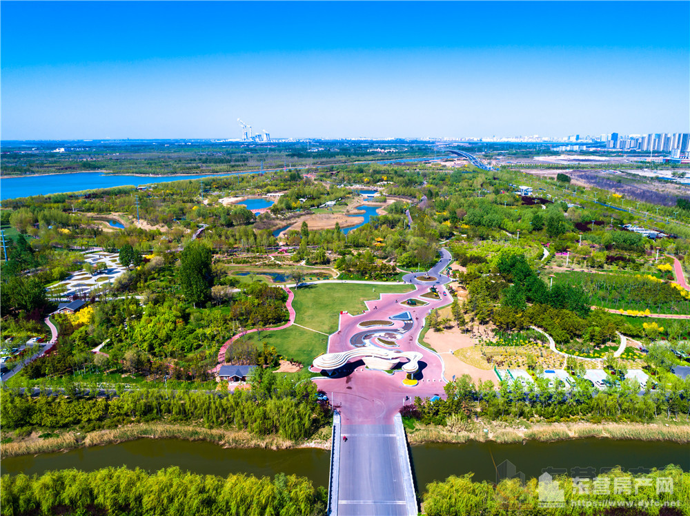 東營植物園航拍