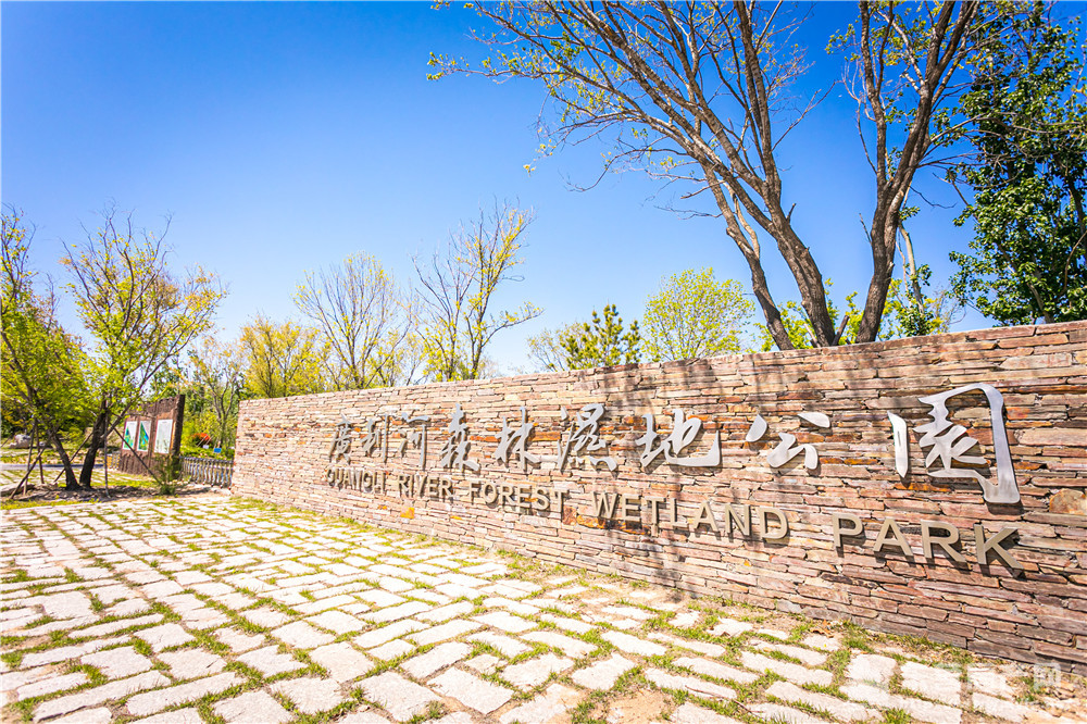 廣利河森林濕地公園實景圖