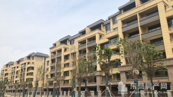 河口鴻景·西湖悅府工程進度