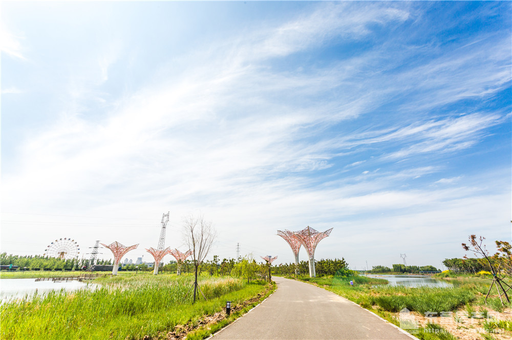 南一路東青高速綠廊公園實景圖