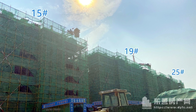 金辰·雅居工程進度