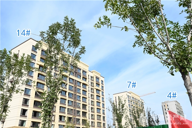 【眾成熙悅華庭】10月份工程進度