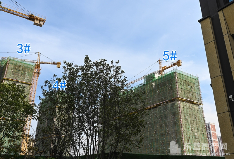 眾成名園工程進度