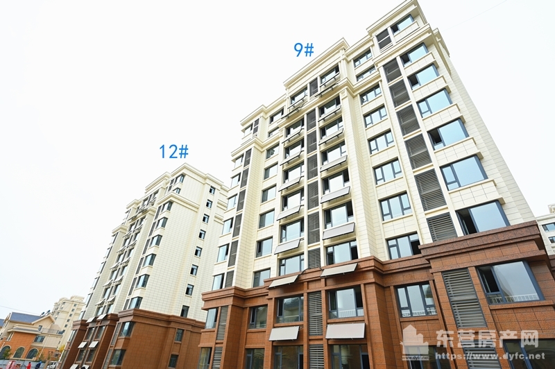 新匯御園匯悅府工程進度