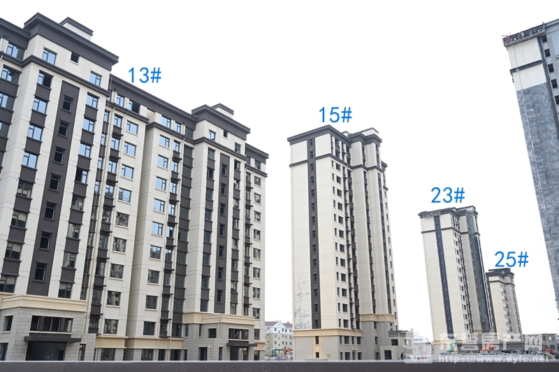 金御華府工程進度