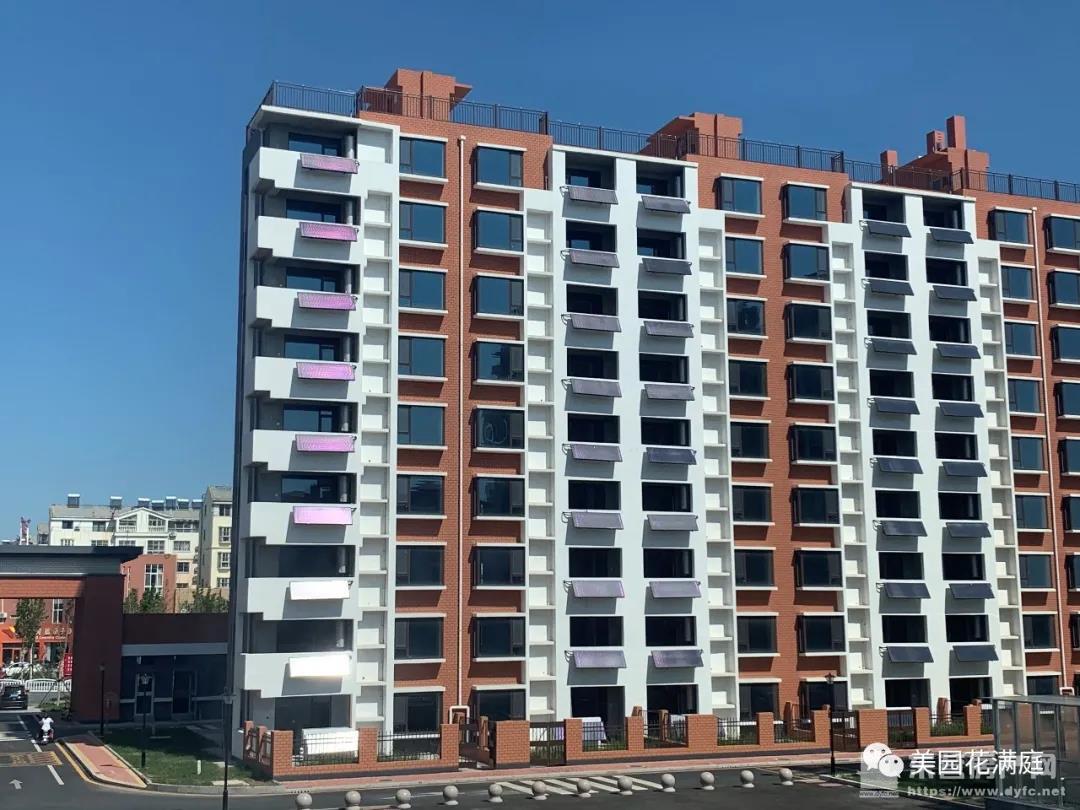 河口美園花滿庭實景圖