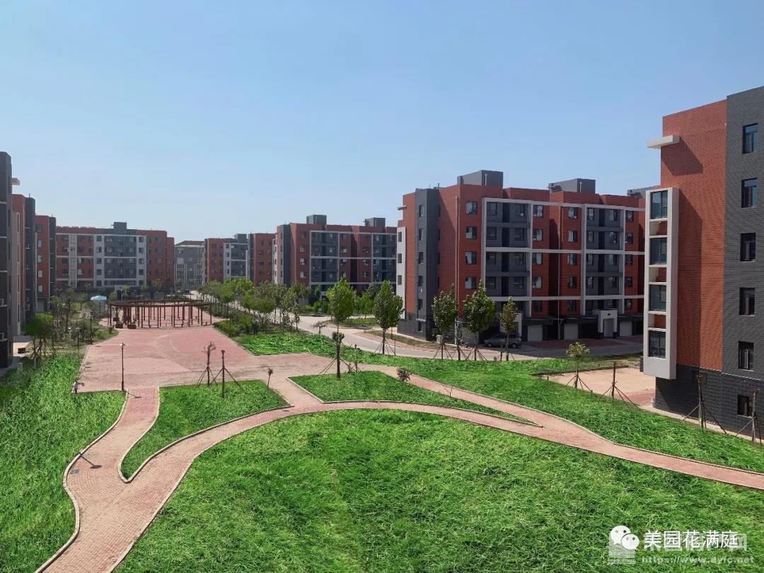 河口美園花滿庭實景圖