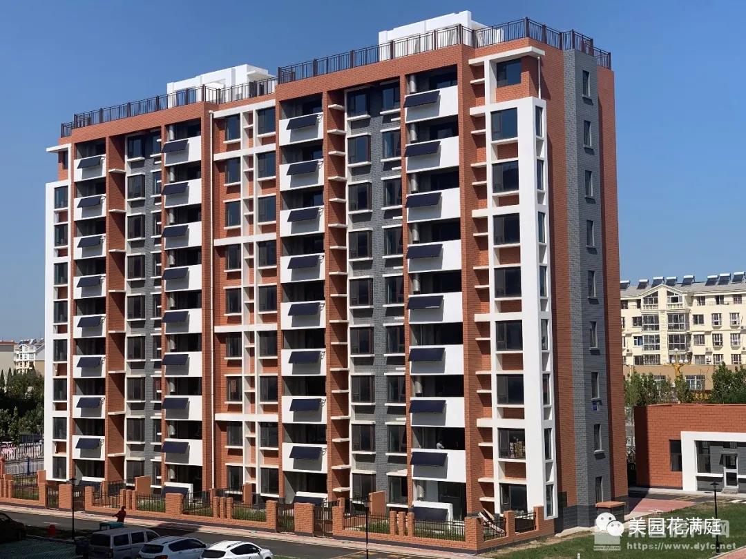 河口美園花滿庭實景圖