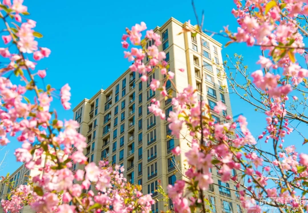 理想之城實景圖