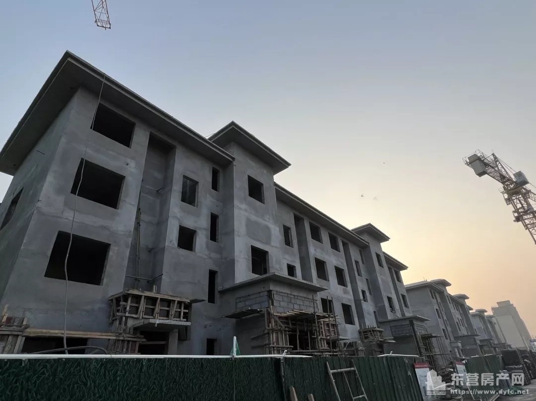 海通西溪蝶園工程進度