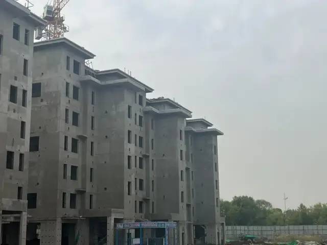 碧桂園·翹楚棠工程進度