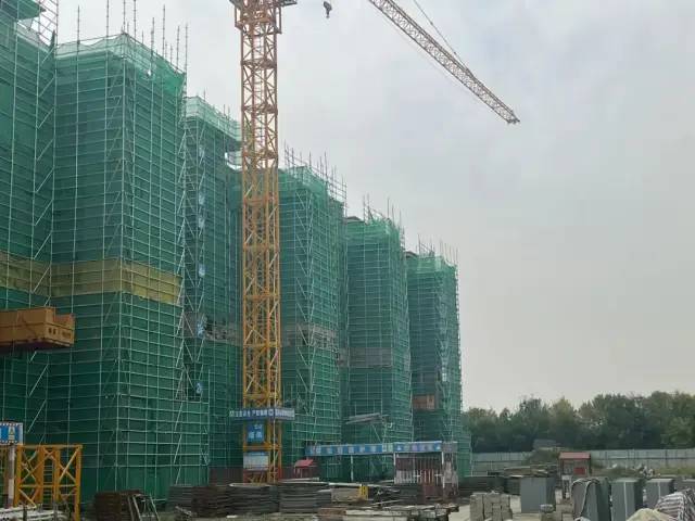 碧桂園·翹楚棠工程進度