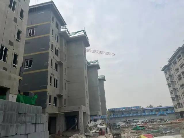 碧桂園·翹楚棠工程進度