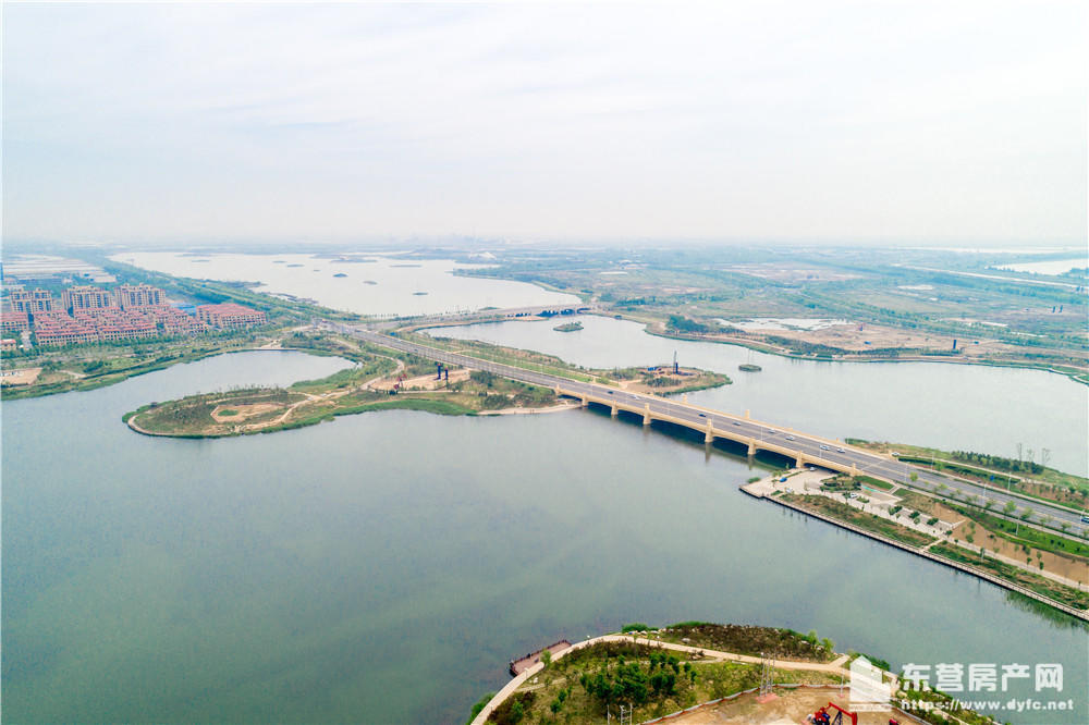 金湖學府配套圖