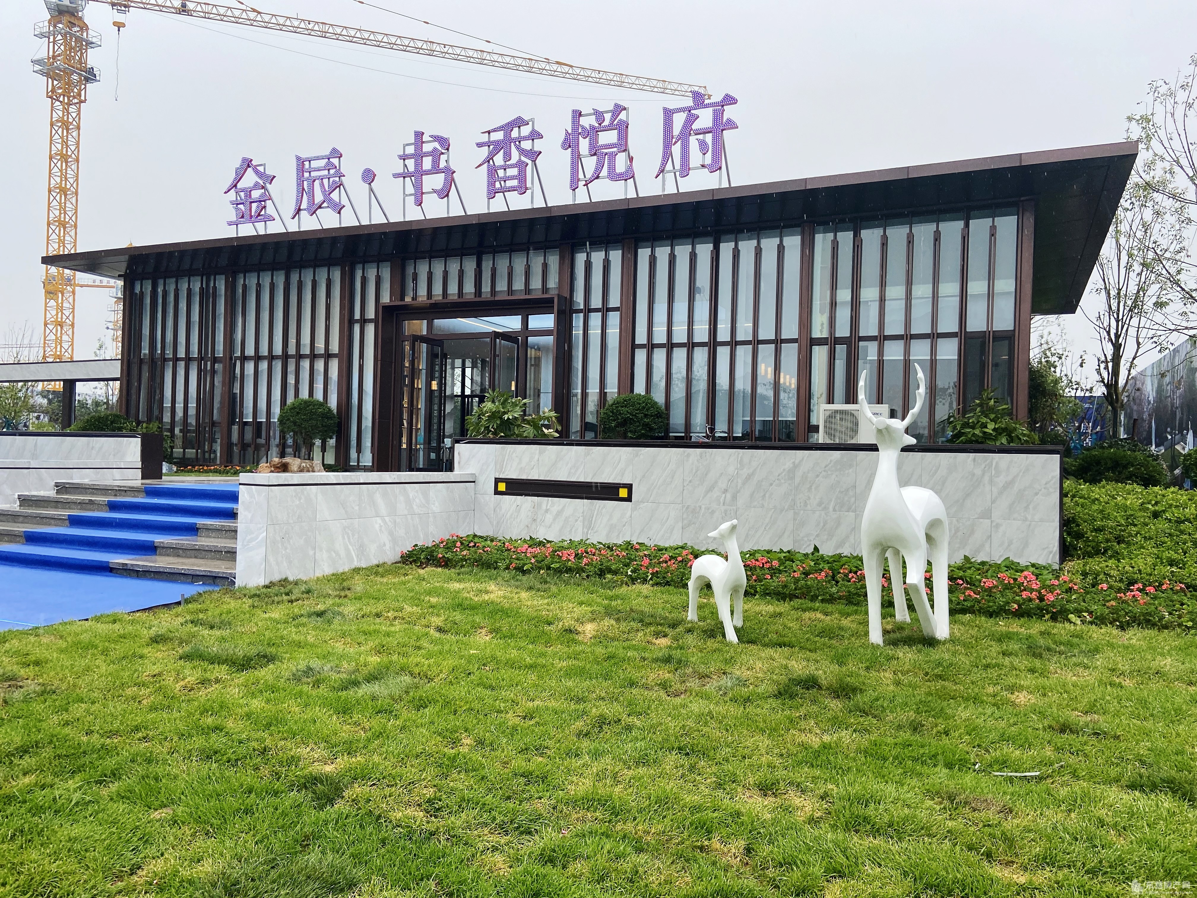 金辰·書香悅府項目現場