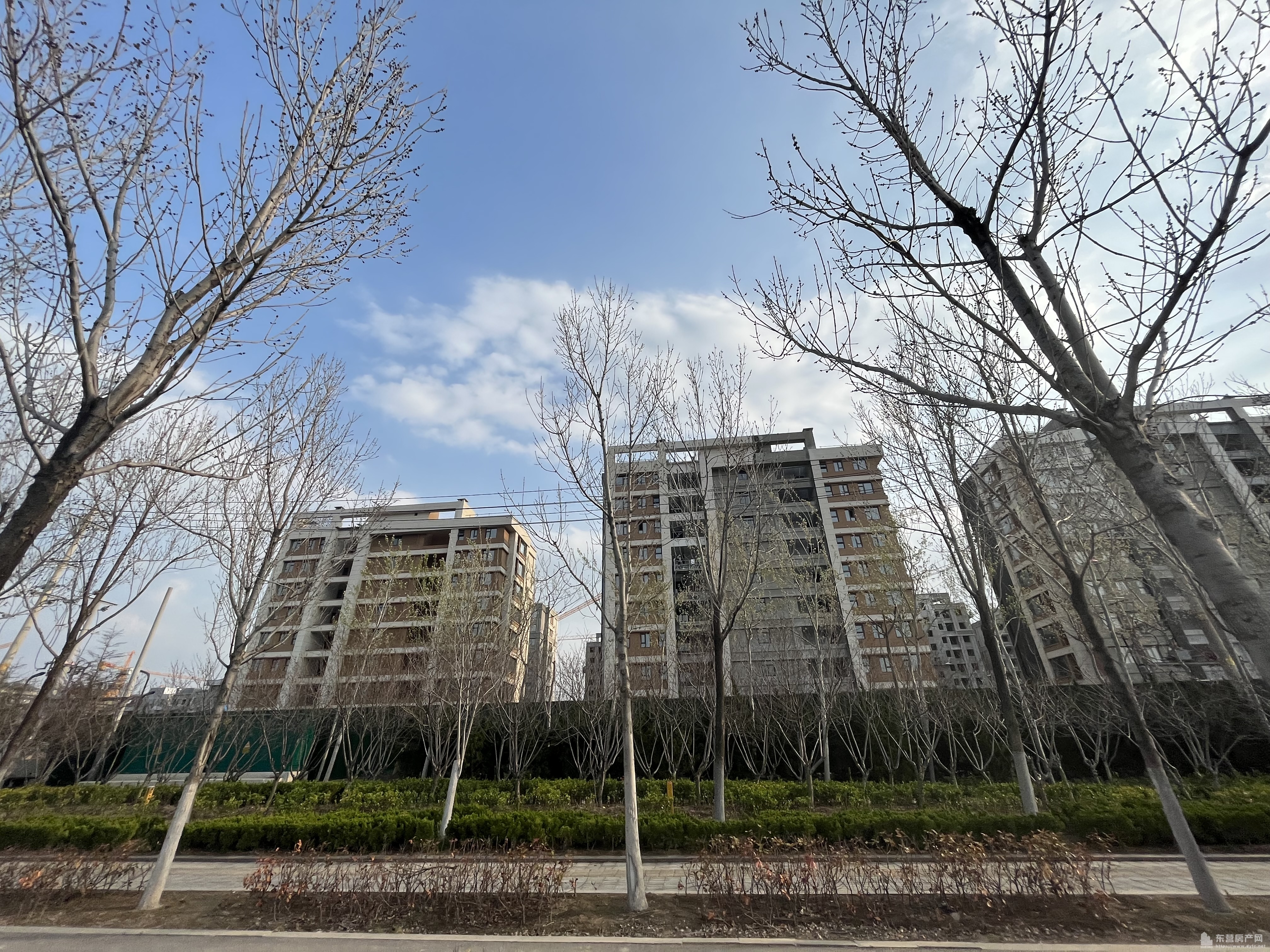 海通學府壹號工程進度