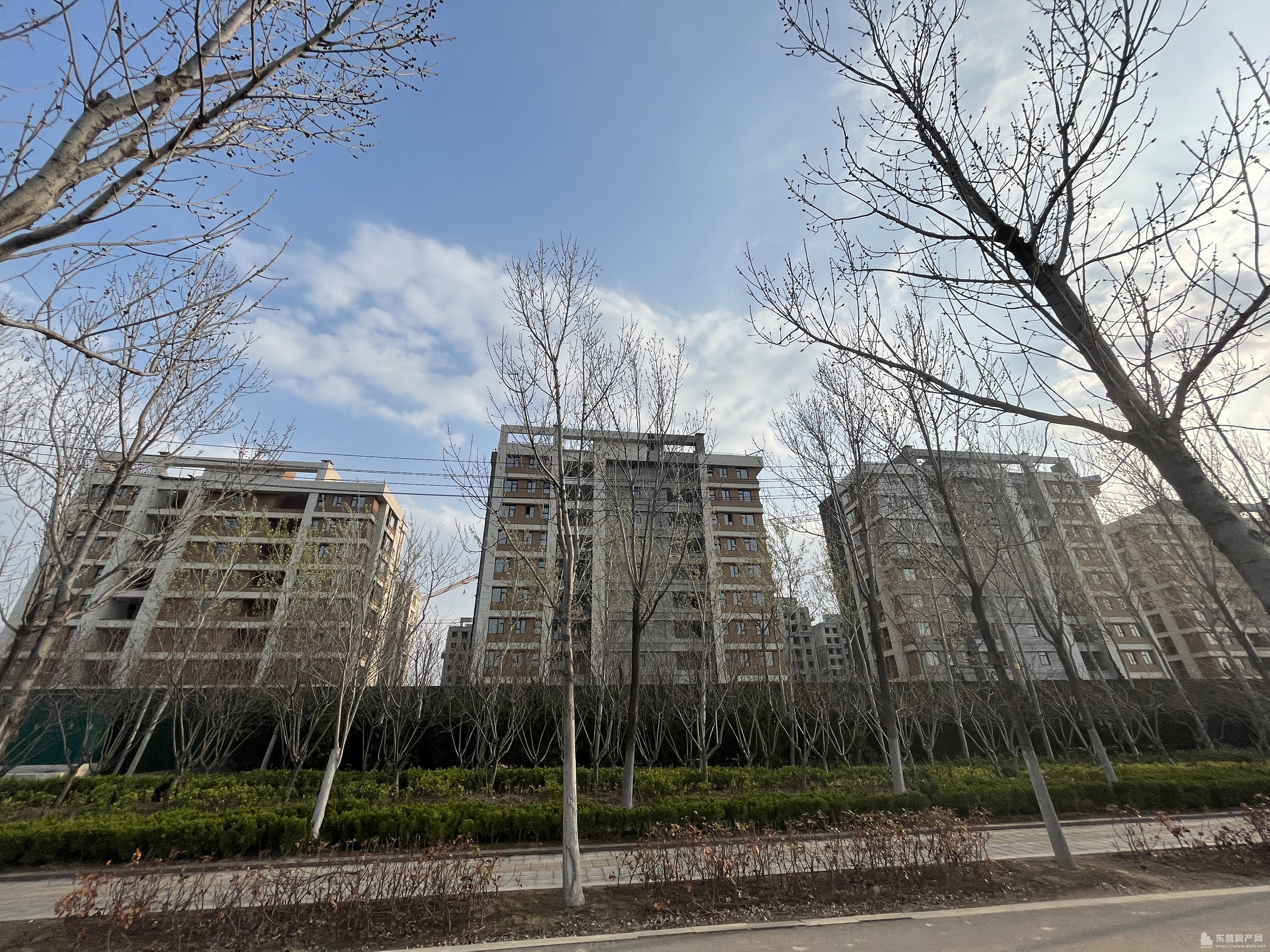 海通學府壹號工程進度