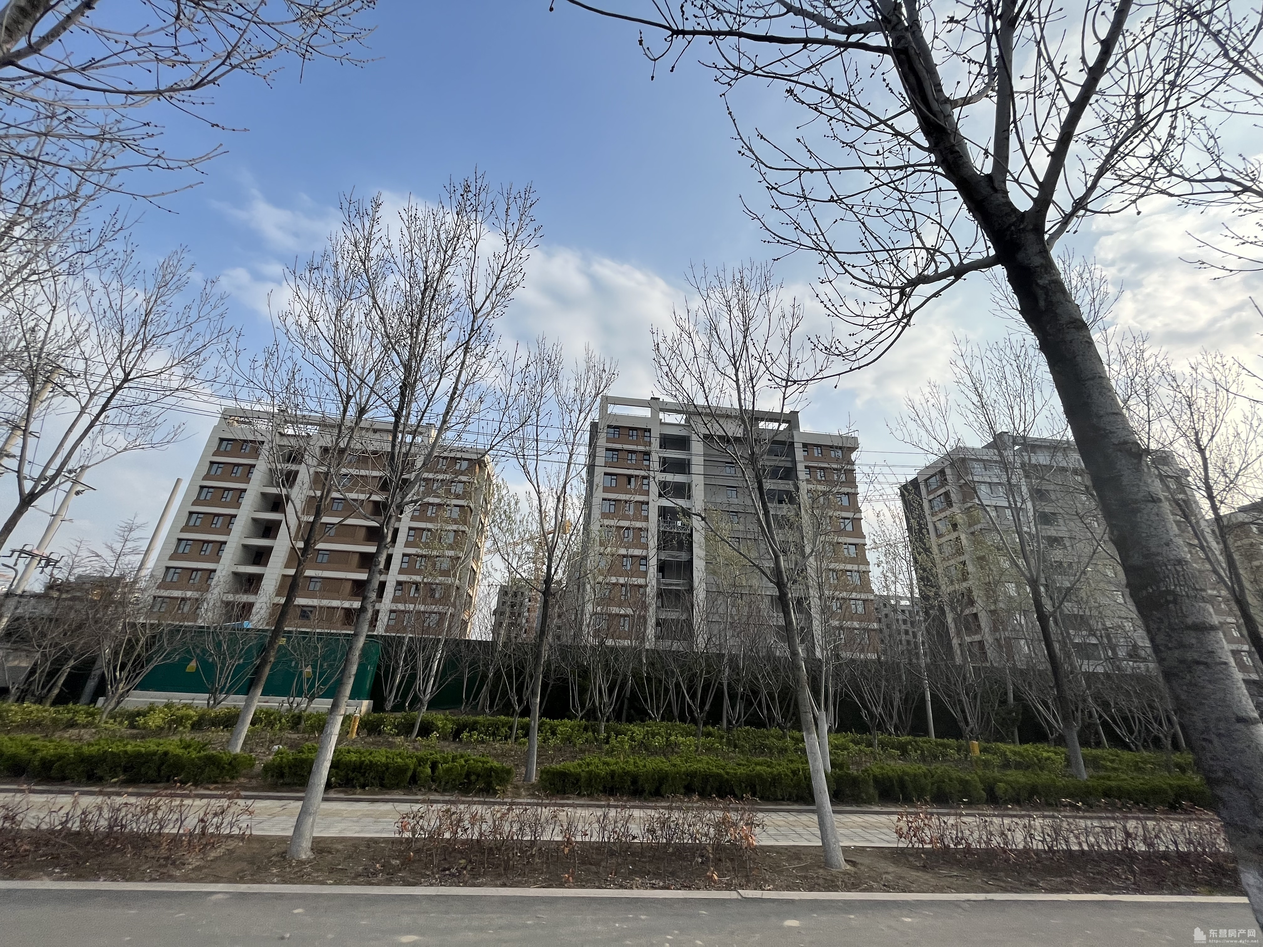 海通學府壹號工程進度