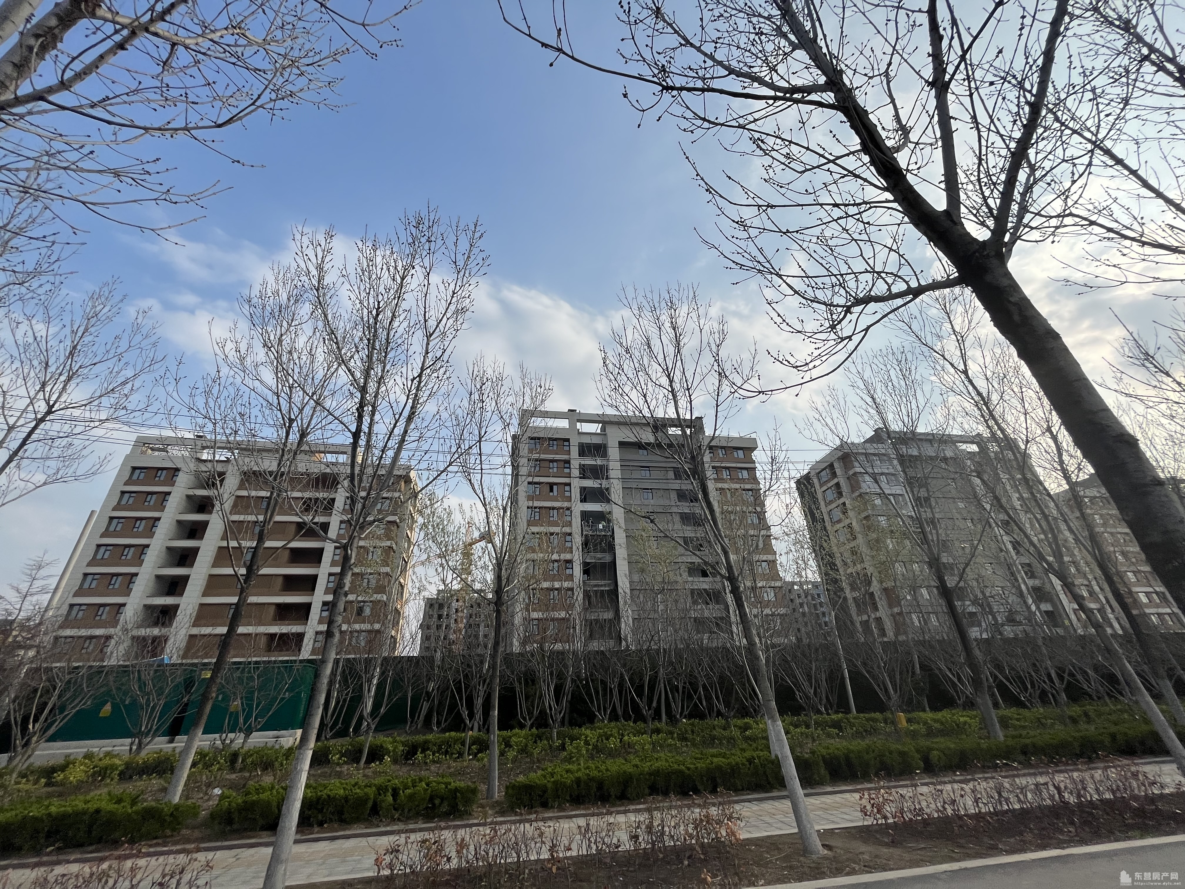 海通學府壹號工程進度