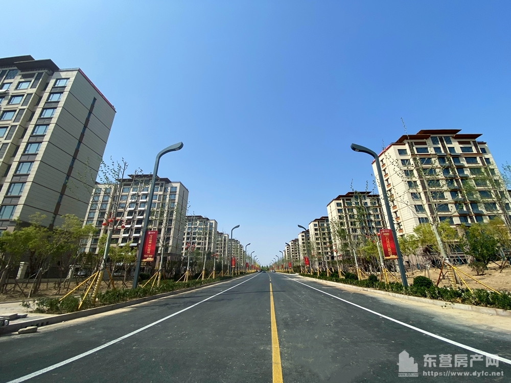 金辰·西湖學都工程進度