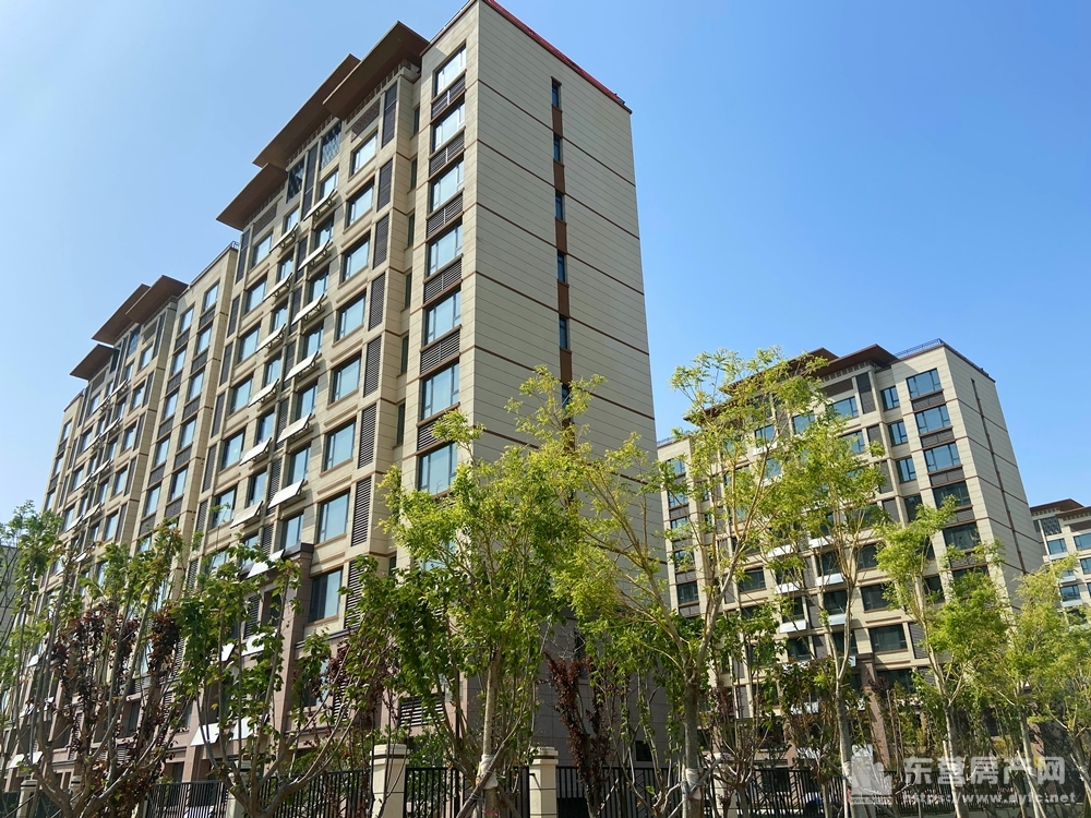 金辰·西湖學都工程進度