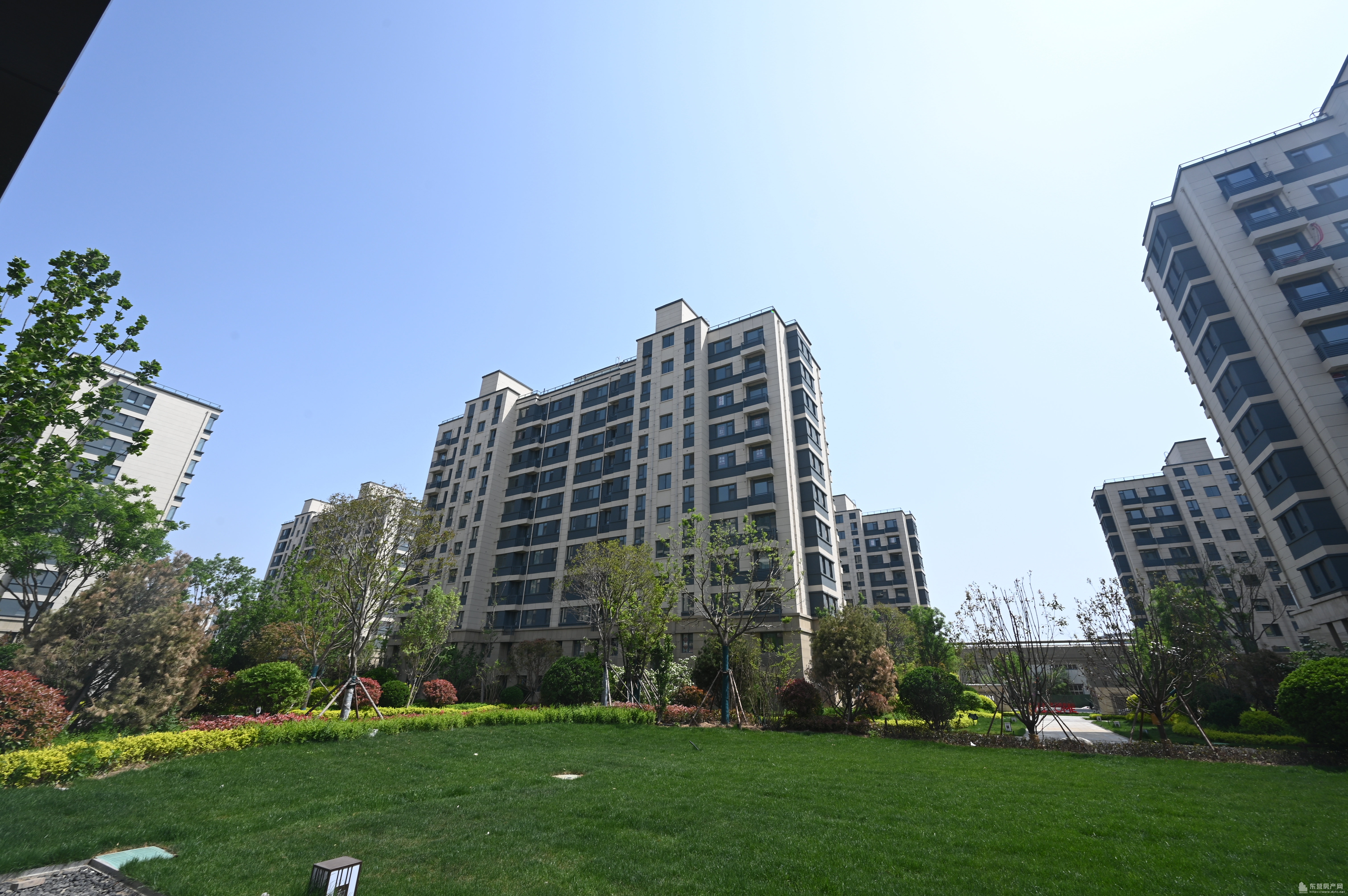 眾成和園146平四室雙衛帶車儲！您盡管看房價格可大刀砍！莒州路學區