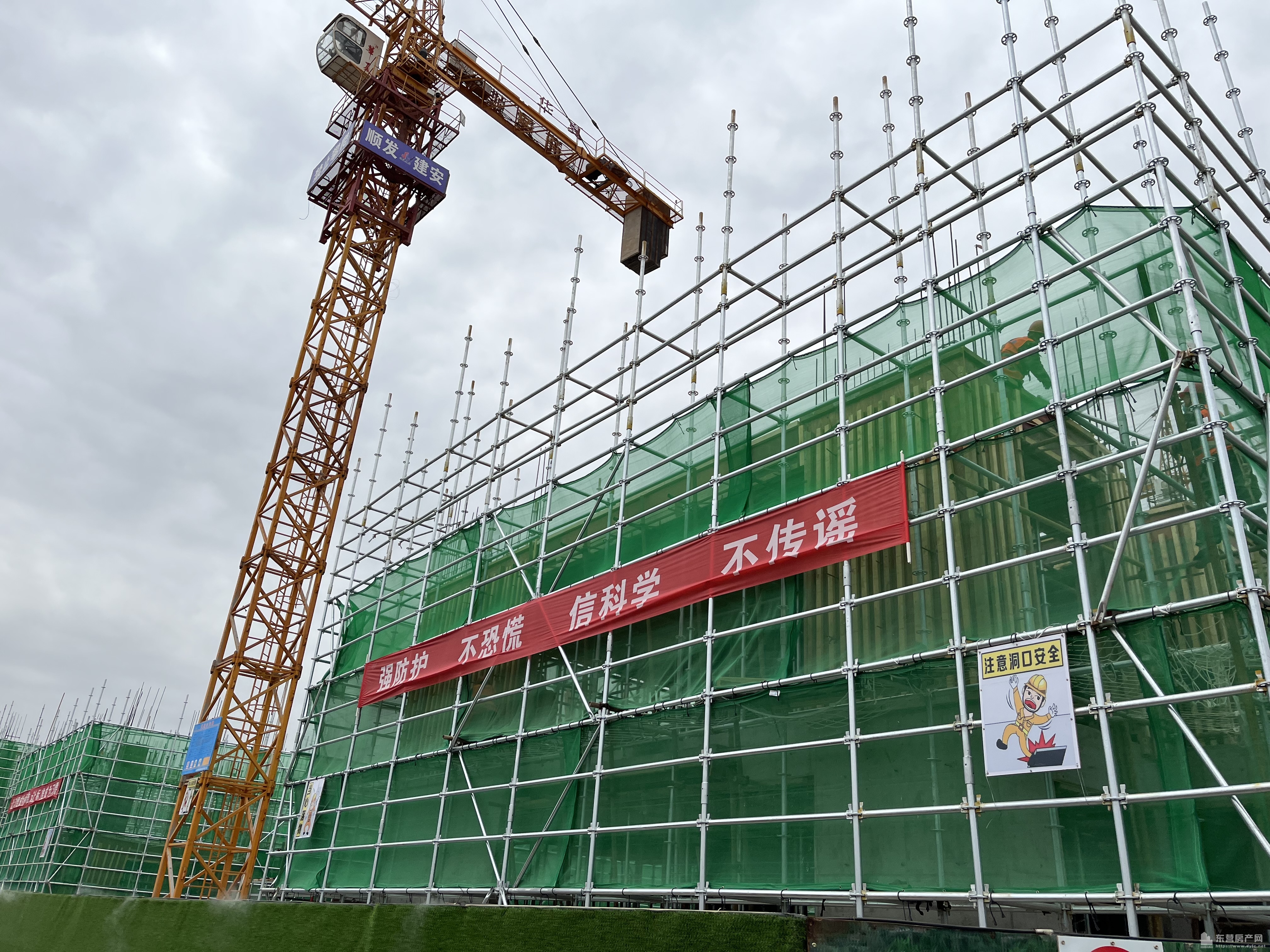 海通西溪蝶園工程進度