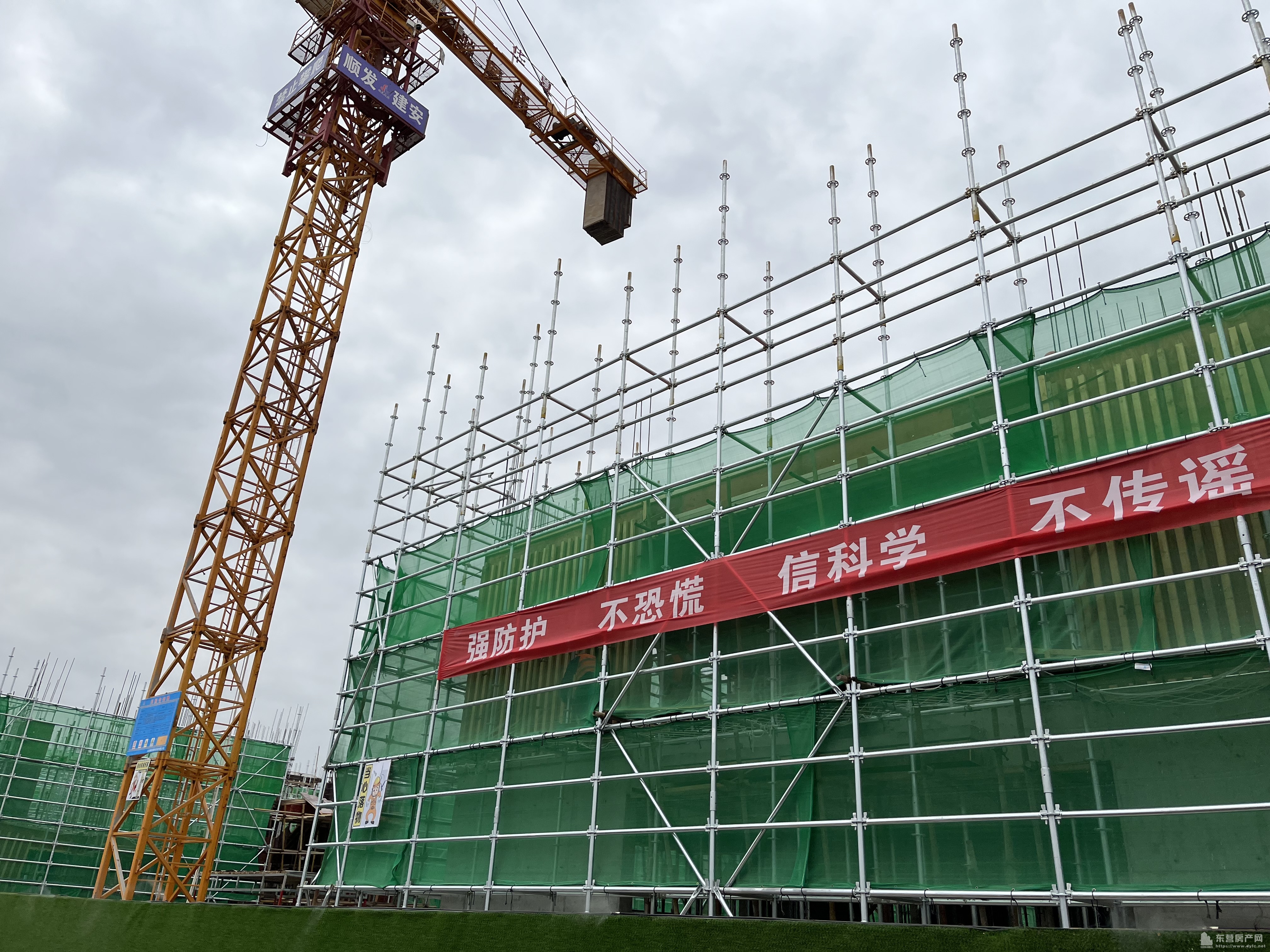 海通西溪蝶園工程進度