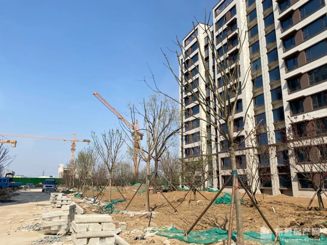 海通紫薇花園工程進度