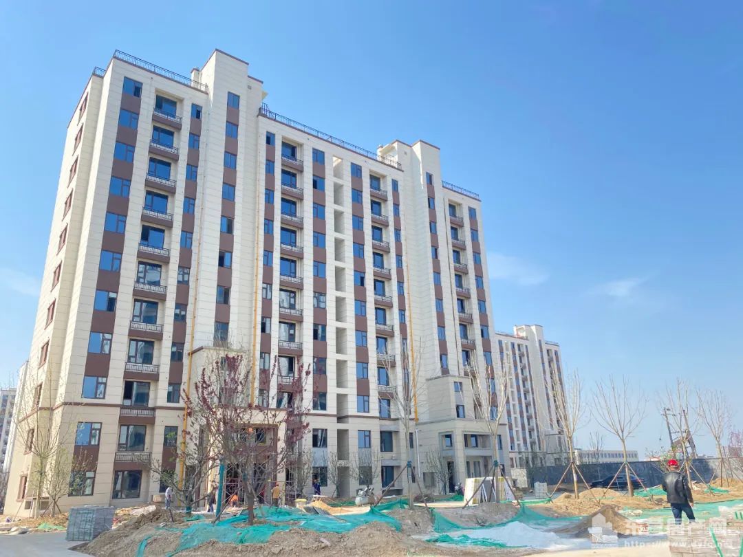 海通紫薇花園工程進度